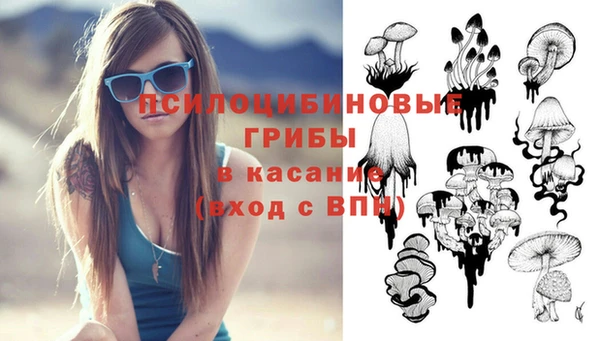 MESCALINE Михайловск